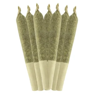 Acheter Key Lime Pie Pre-Roll – Image 4