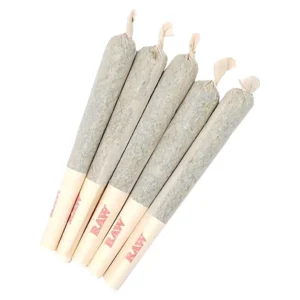 Acheter Gary Satan Pre-Rolls – Image 1