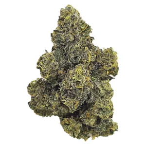 Achetez Purple Octane 7g Indica – Image 1