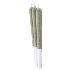 Acheter Pack Apricot Frost | hybrides – Image 1