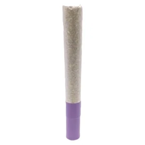 Achetez G.S.P  Ice Water Hash Infused – Image 4
